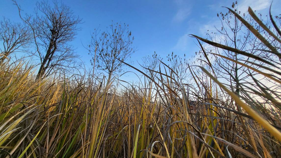 三星zfold35g测评,三星折叠屏zfold3