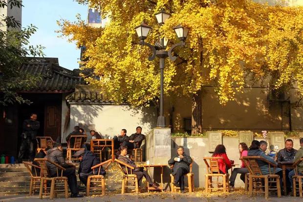 成都川妹美食攻略,成都美食攻略日料