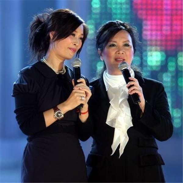 傻大姐被骂,傻大姐骗局