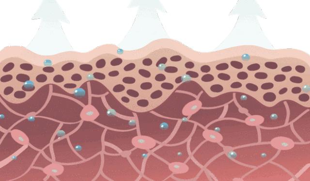 bbc珍珠面霜 (bbc沙棘面霜)
