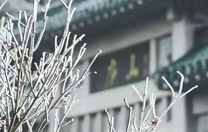 雾凇之美宛若仙境,连云港花果山雾凇美得像仙境