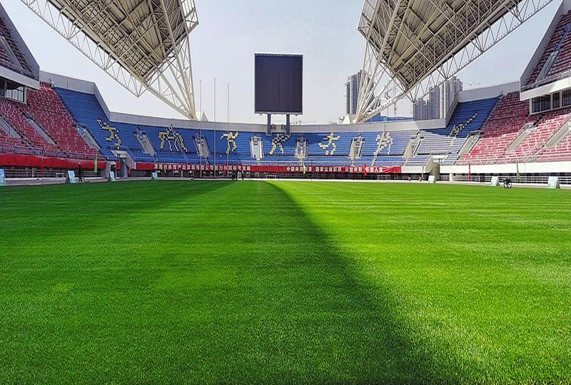 渭南草坪种植基地,渭南西北足球训练基地
