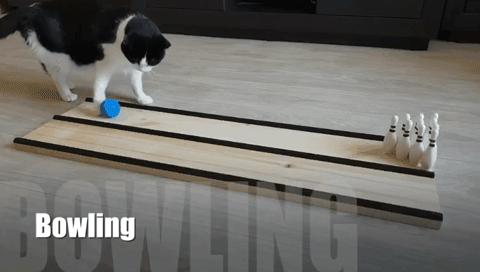 <html>
<head><title>502BadGateway</title></head>
<body>
<center><h1>502BadGateway</h1></center>
<hr><center>nginx</center>
</body>
</html>
<!--apaddingtodisableMSIEandChromefriendlyerrorpage-->
<!--apaddingtodisableMSIEandChromefriendlyerrorpage-->
<!--apaddingtodisableMSIEandChromefriendlyerrorpage-->
<!--apaddingtodisableMSIEandChromefriendlyerrorpage-->
<!--apaddingtodisableMSIEandChromefriendlyerrorpage-->
<!--apaddingtodisableMSIEandChromefriendlyerrorpage-->
