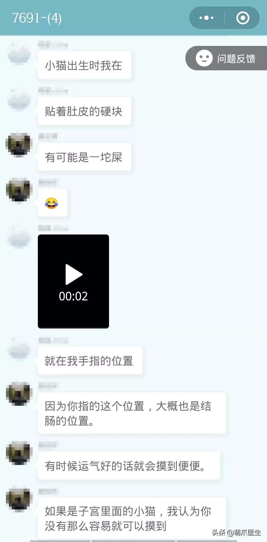 足不出户线上看诊,24小时猫病在线咨询