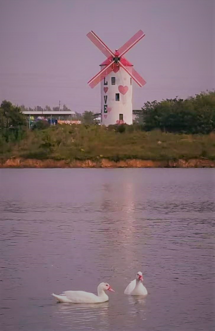 大连铭湖牧场一日游攻略,大连铭湖牧场观光图片