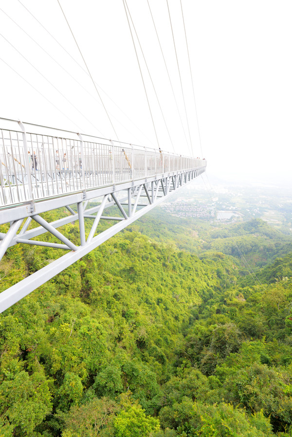 海南呀诺达热带雨林文化旅,三亚诺达雨林旅游攻略