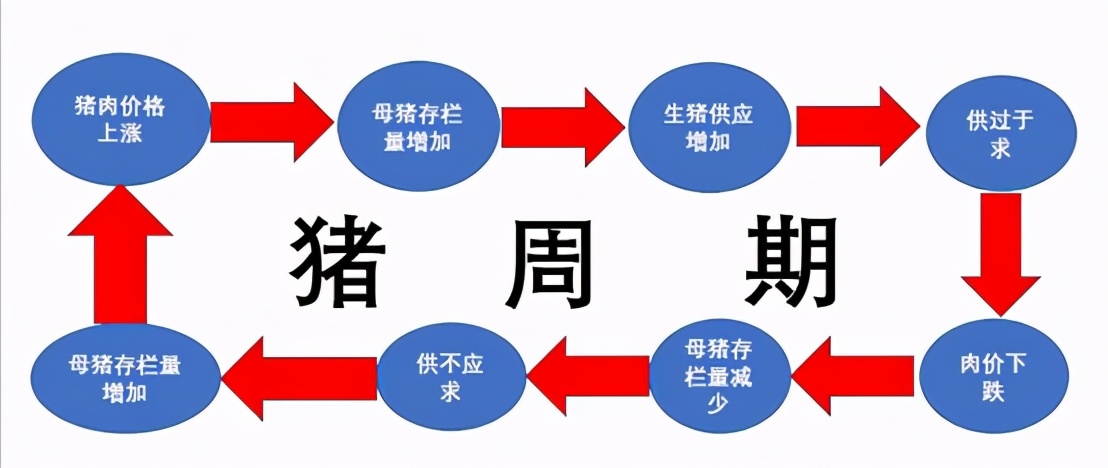 如何区分市盈率和市净率的区别,市净率和市盈率有什么区别吗