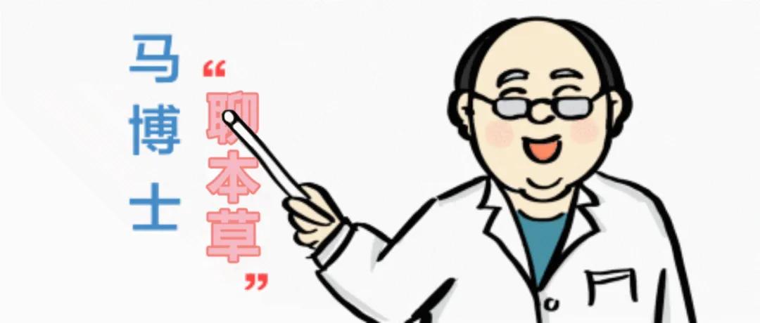 藏红花的中药故事,马博士解读视频