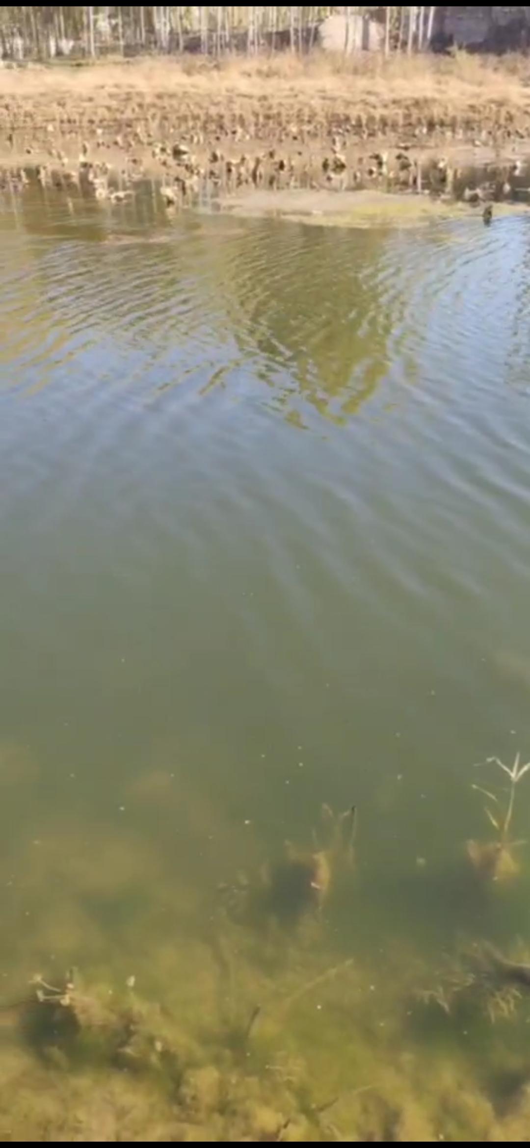 野钓之后鱼竿怎么保养,海竿钓鱼的最佳配件