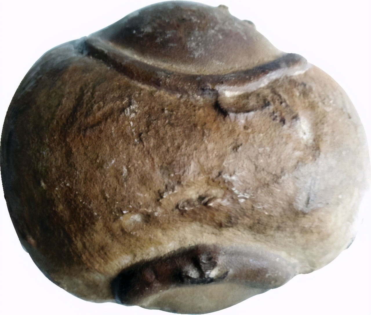 百宝筝议丨天陨灵石玩珍