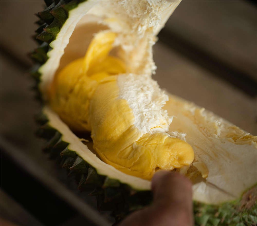 美的45l单门小型冰箱测评,美的冰箱446升深宽高多少