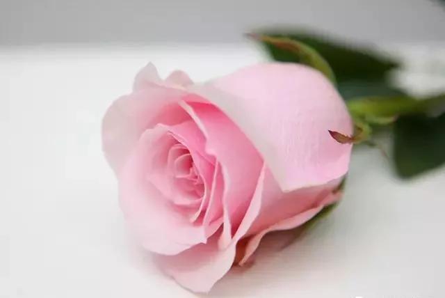 每天学习一点点女性小常识,每天学习一点点科普一下