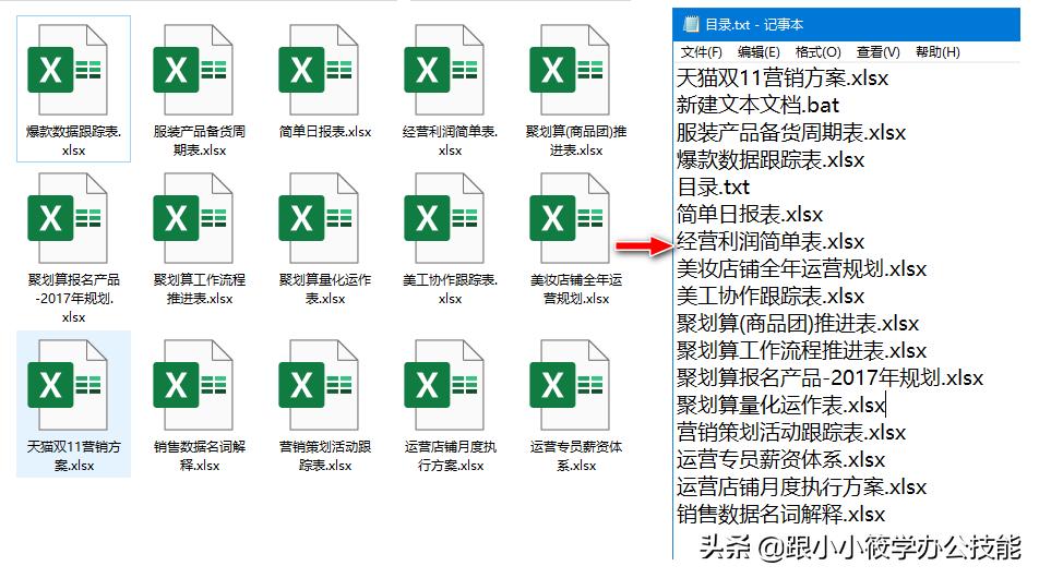 批量提取文件名代码,批量提取文件名并在前面加上序号