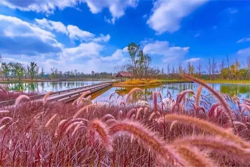 宛若美人卧成都，江家艺苑了解一下