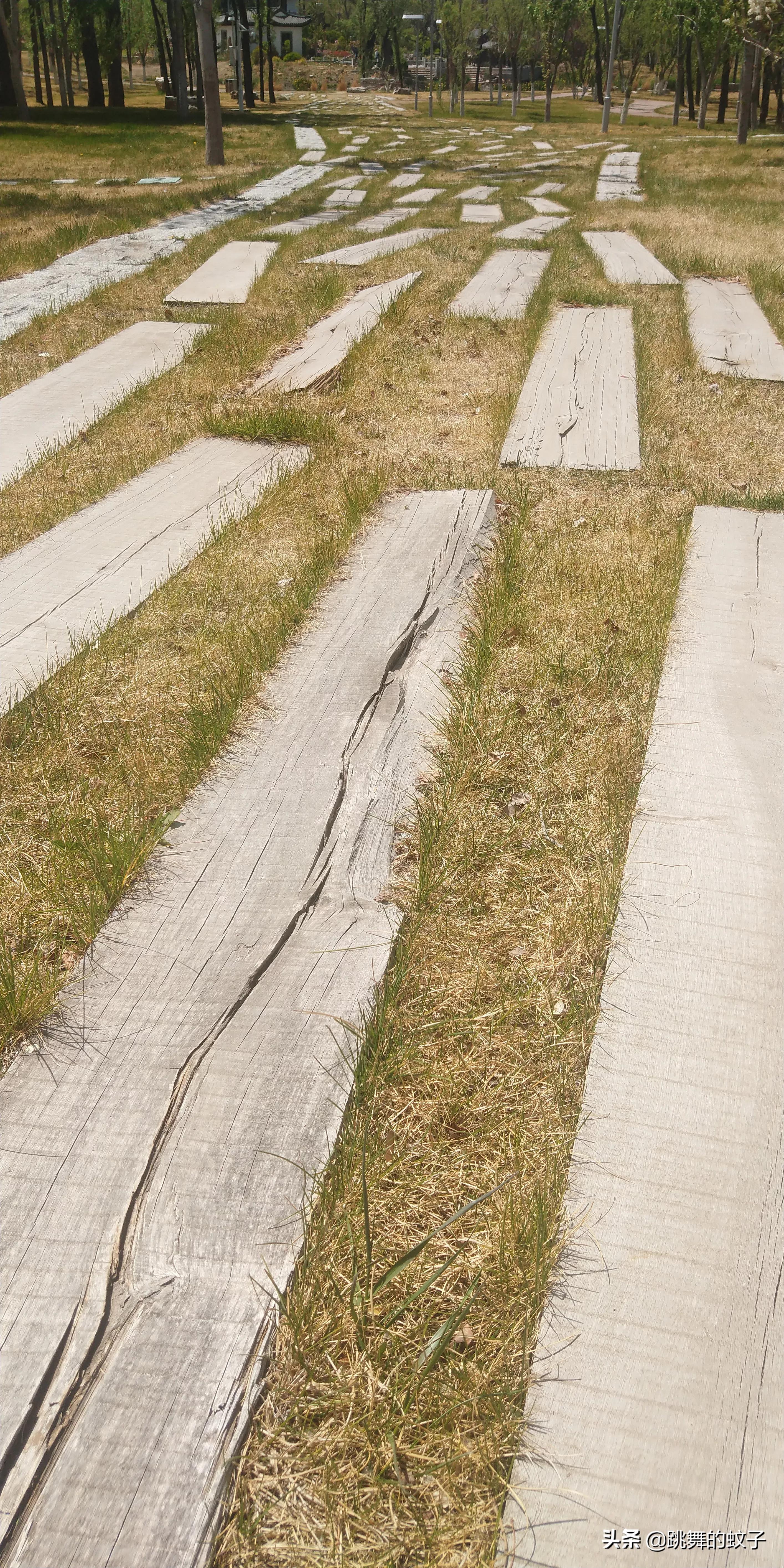 京郊公园,京郊公园门票