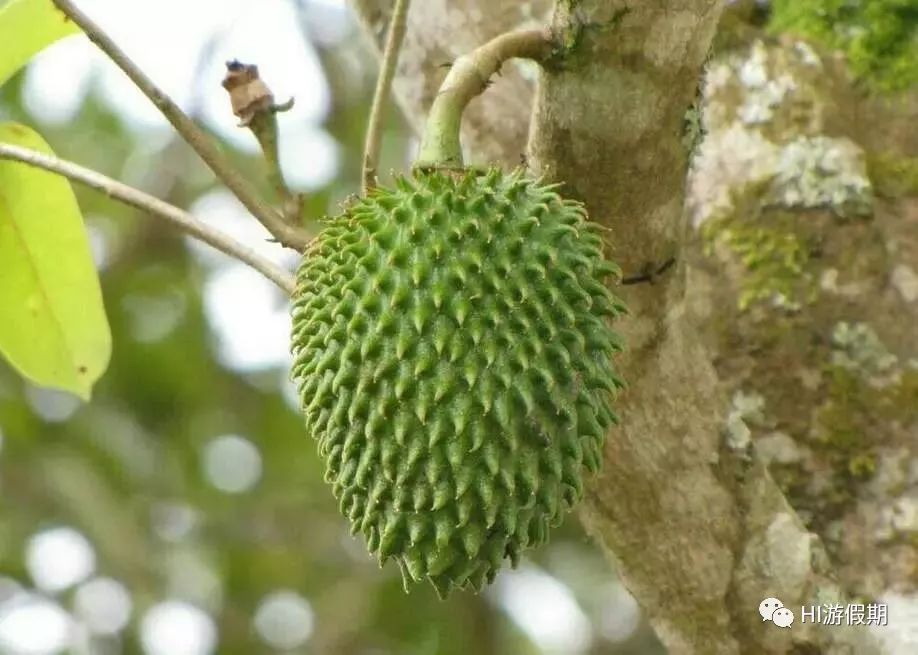 帕劳为什么对中国免签,帕劳海岛免签条件