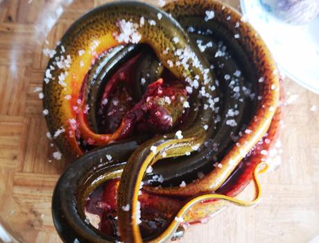 黄鳝清洗如何保留血,黄鳝怎么去腥去黏液