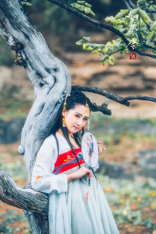 如梦令的相思,如梦令相思千里