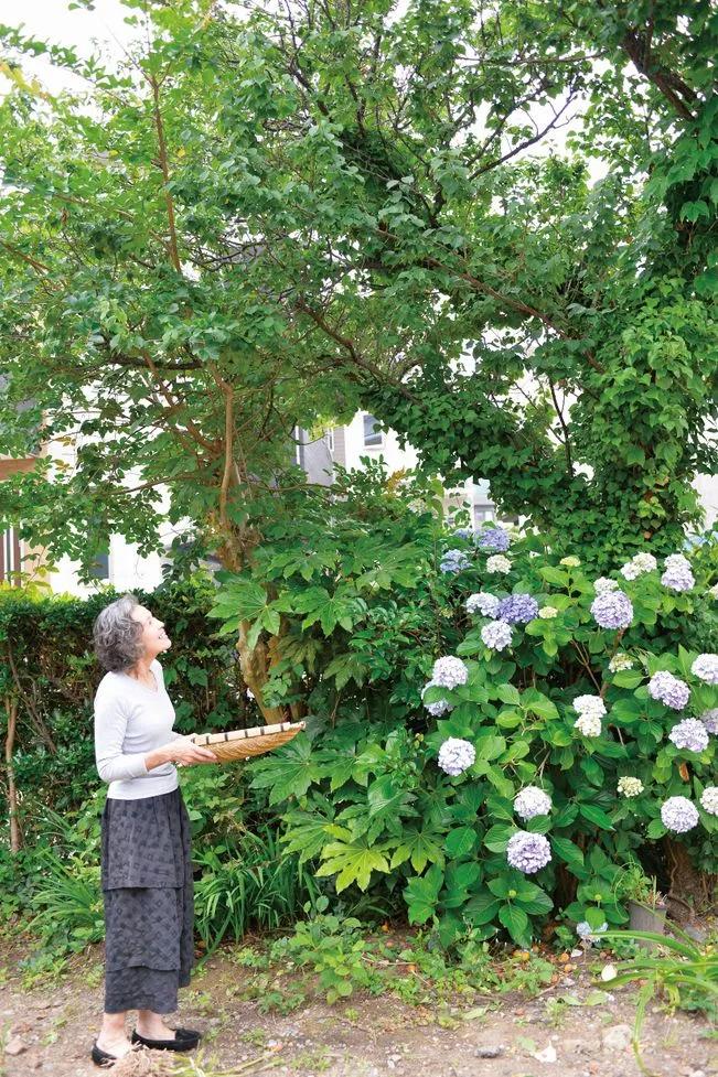 75岁日本家庭主妇日常,日本中年家庭主妇一天的真实生活