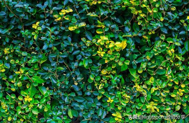 摄影中光影效果怎么描述,摄影纵深感怎么表现