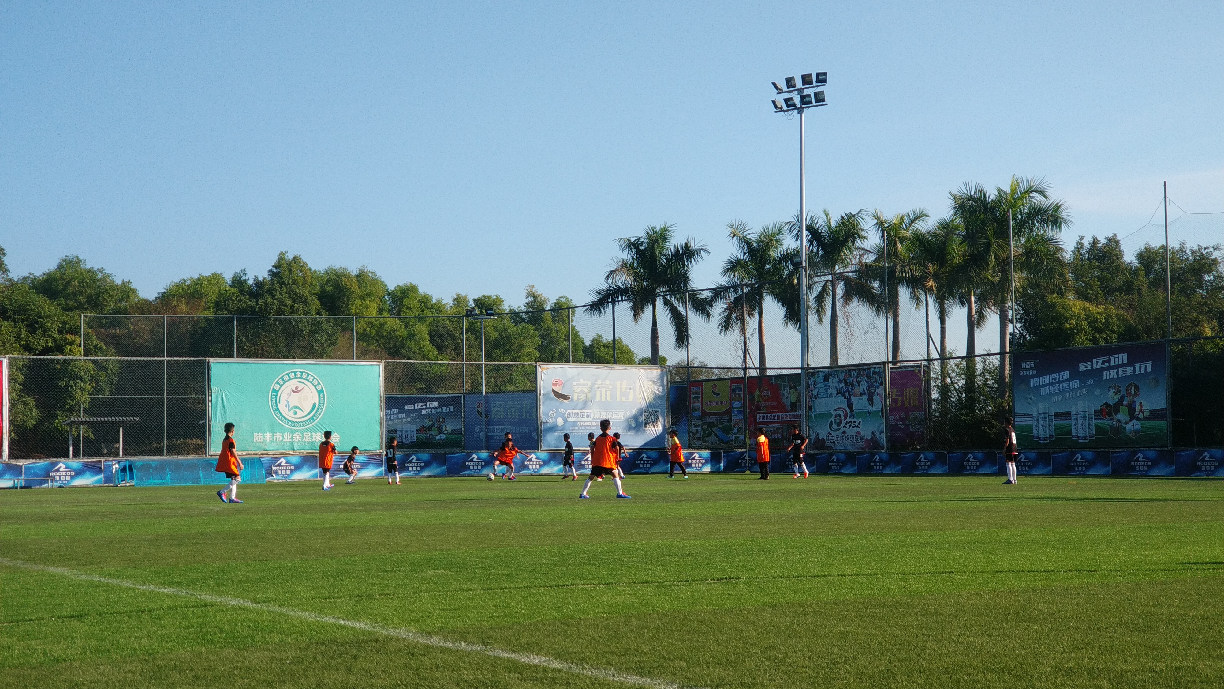 目前中国足球青训现状,中国足球青训现状及未来20年