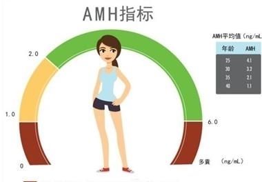 amh对卵巢有影响吗,amh和卵子质量有关系吗