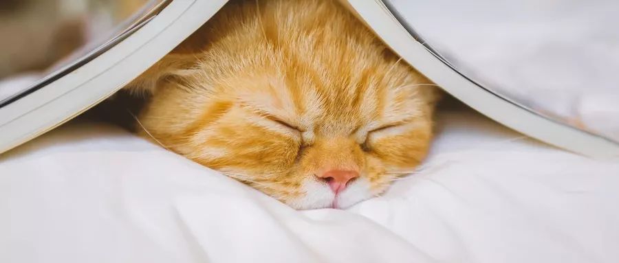 下午困了怎么提神学生,下午困得不行怎么提神