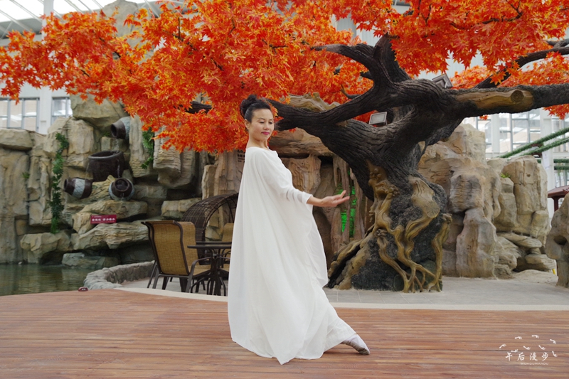 陕菜探秘小程序,陕菜探秘太白县