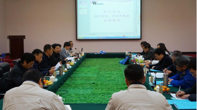 广西企业参与研制的工业数码电子*管雷**通过科技成果鉴定