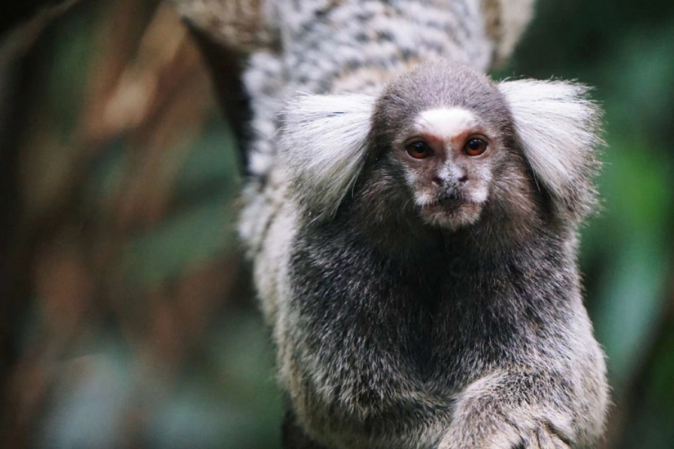 我的摄影装备,索尼微单a5000和a5100哪个好