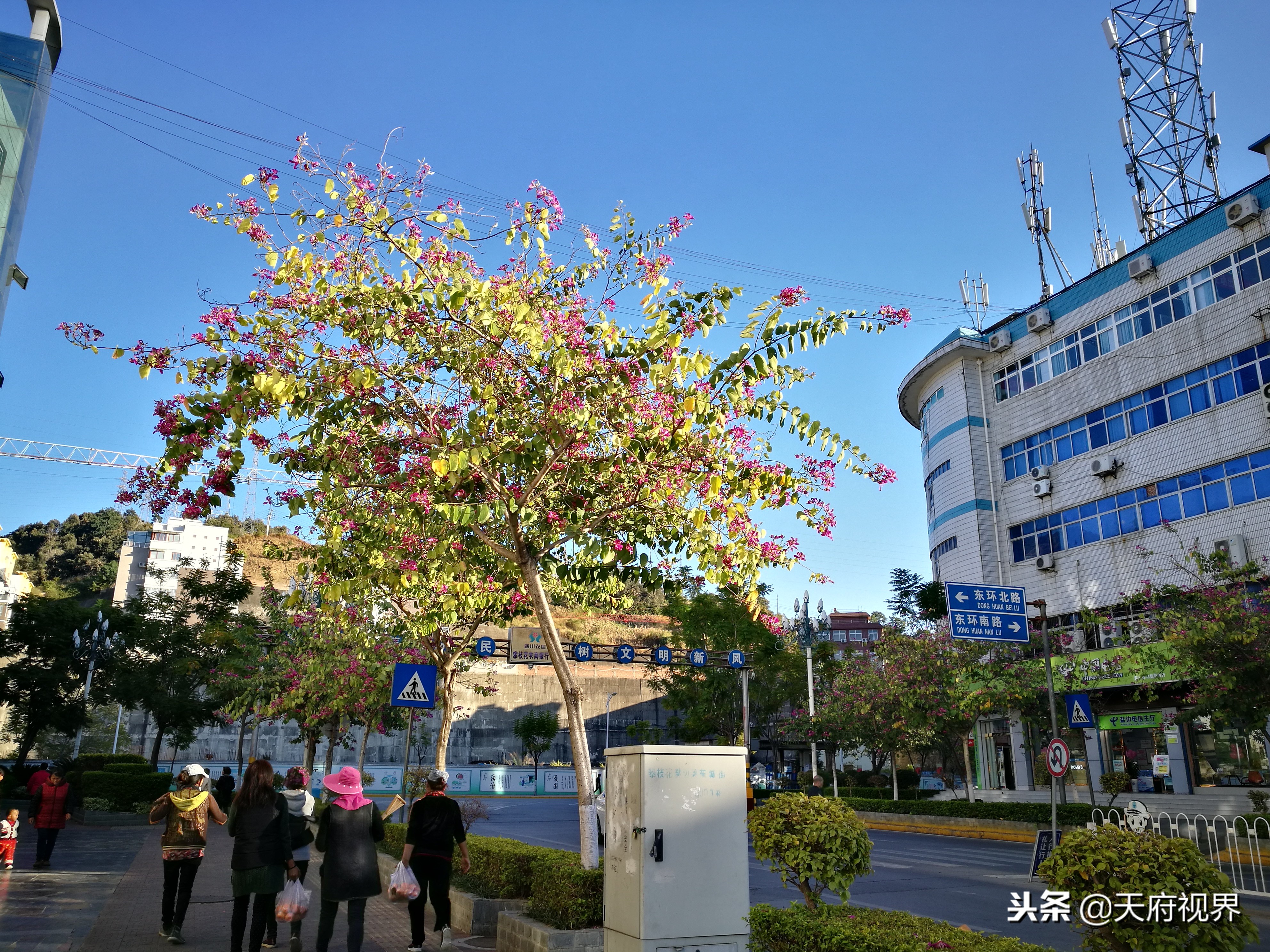 县城小景的视频,攀枝花盐边县全景