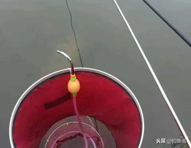 比较实用的钓鱼装备,钓鱼装备6件套