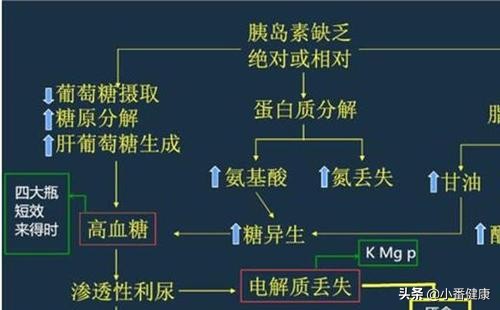 恩替卡韦乳酸酸中毒临床诊断标准,服用恩替卡韦出现乳酸偏高怎么办