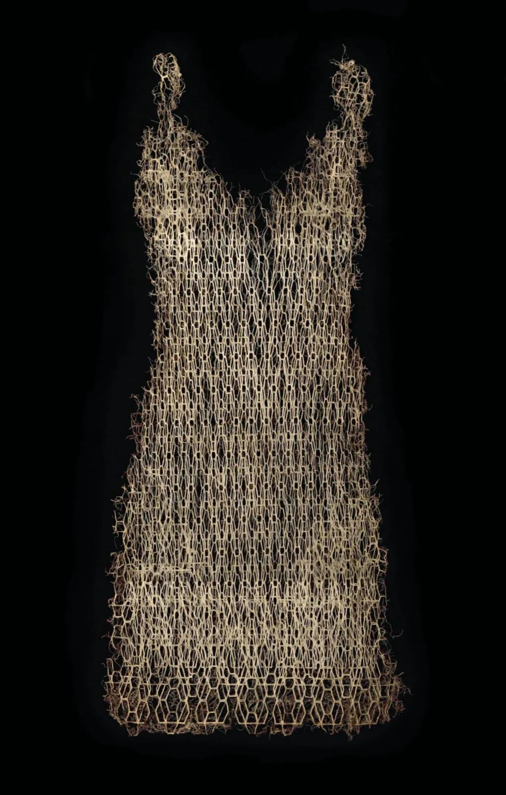 时尚源于自然 (时尚的灵感源于自然)