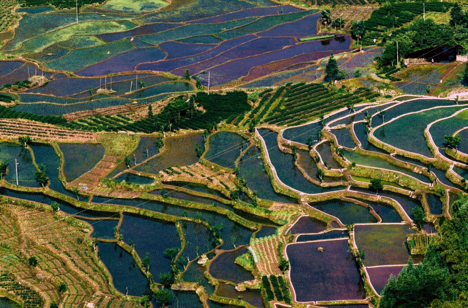 巴厘岛到成都直航,巴厘岛成都跟团游