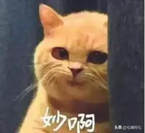 OMG这些口红简直是魔鬼，一张毛爷爷就能买一打！