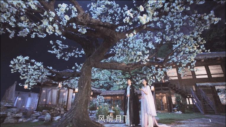 从大家吐槽到口碑逆袭，这部不被看好的“三生三世”如何做到的？