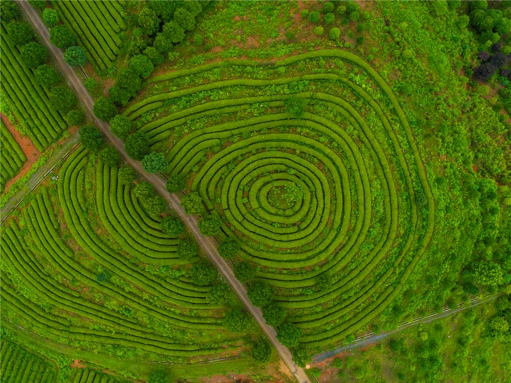 湖北崇阳古村落 (崇阳县白霓镇回头岭村地图)