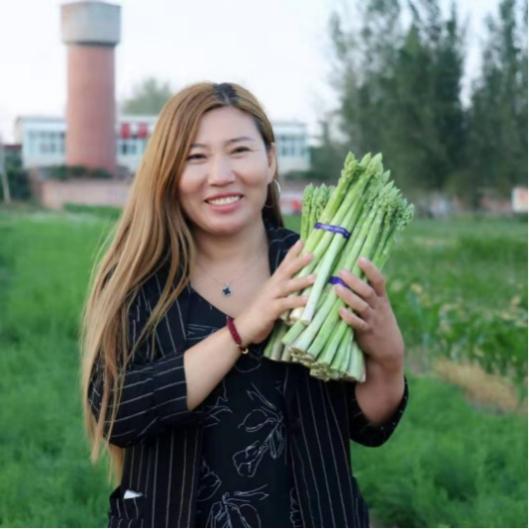 亩产万元,情暖百姓!——看鹤壁最美芦笋姐刘海燕如何带村民致富