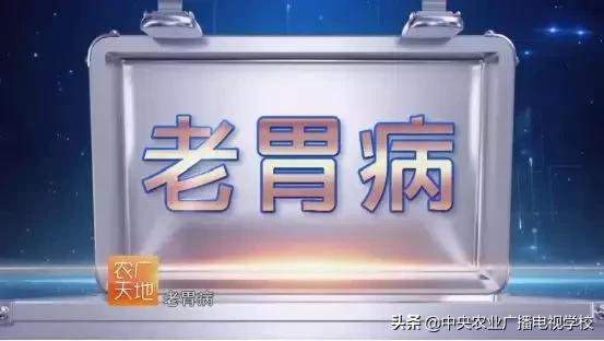 【农广天地】太愁人的老胃病，本篇内容有秘方哦