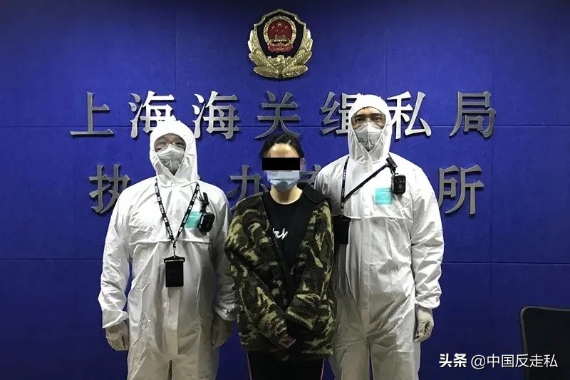 国门利剑刺猬紫檀走私案,国门利剑2019十大案件