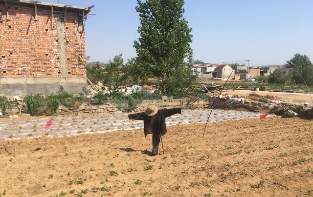 天天吓唬她老公的女人,高学历妻子吓唬丈夫视频