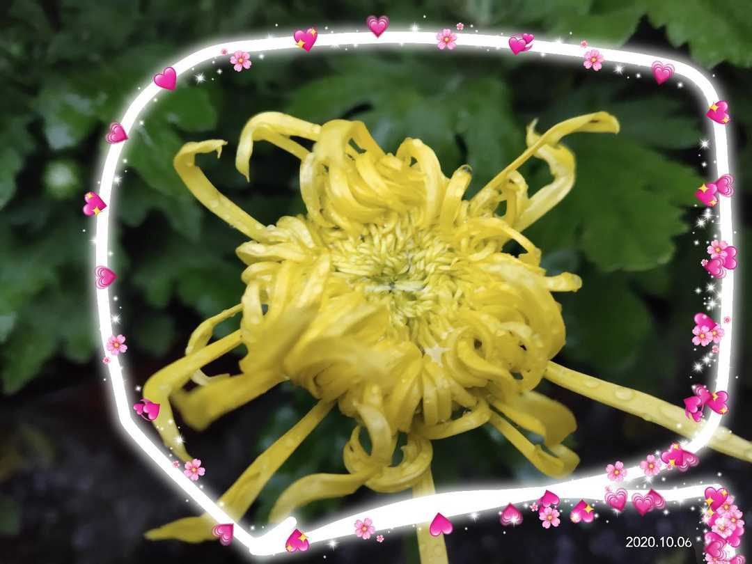 管理怎样和员工处理好关系,管理之间怎么相处