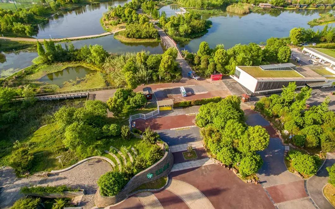 长沙洋湖湿地公园推荐视频,长沙洋湖湿地公园绿野仙踪