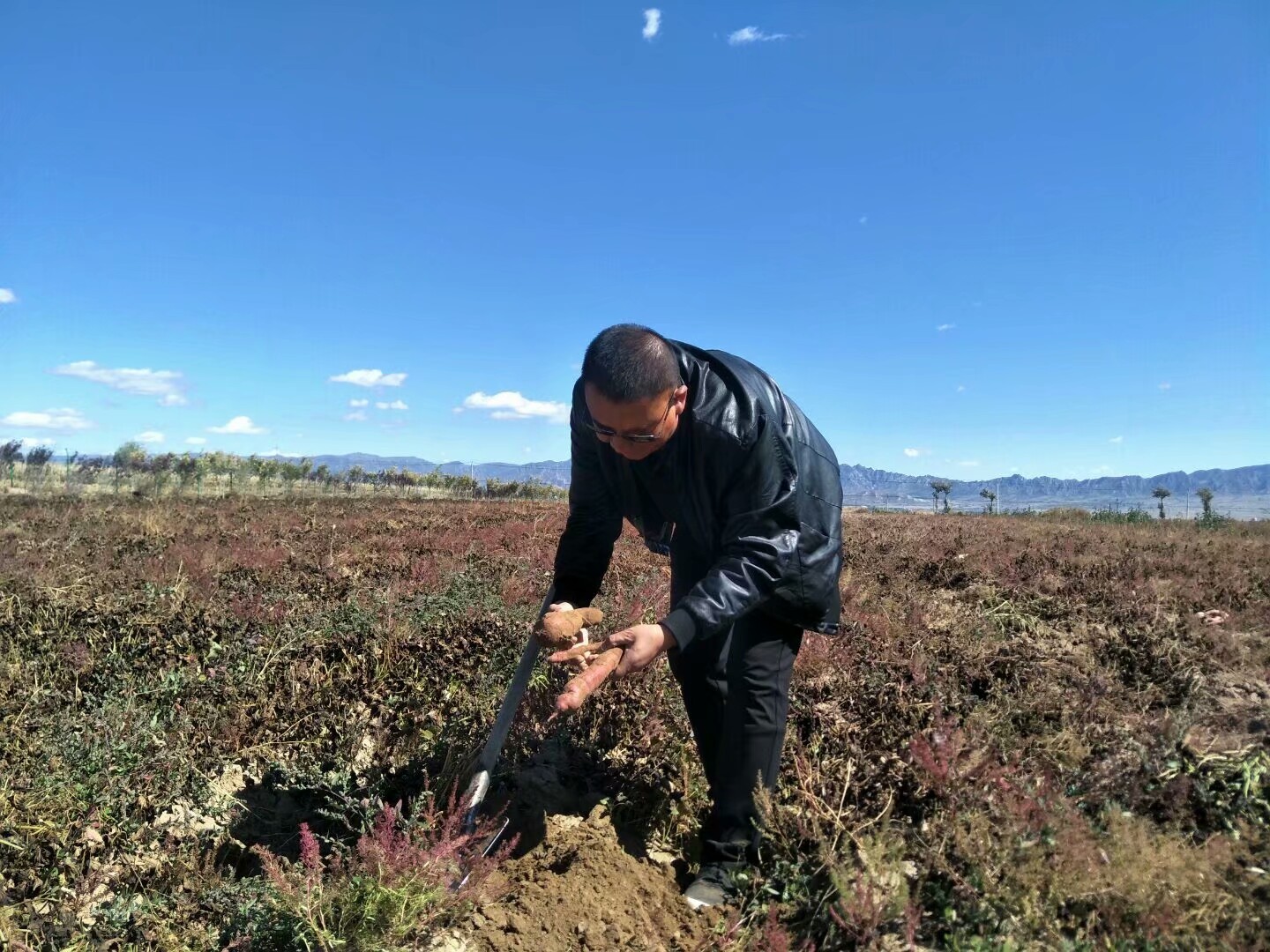 建设幸福家园视频,建设幸福宜居美丽家乡