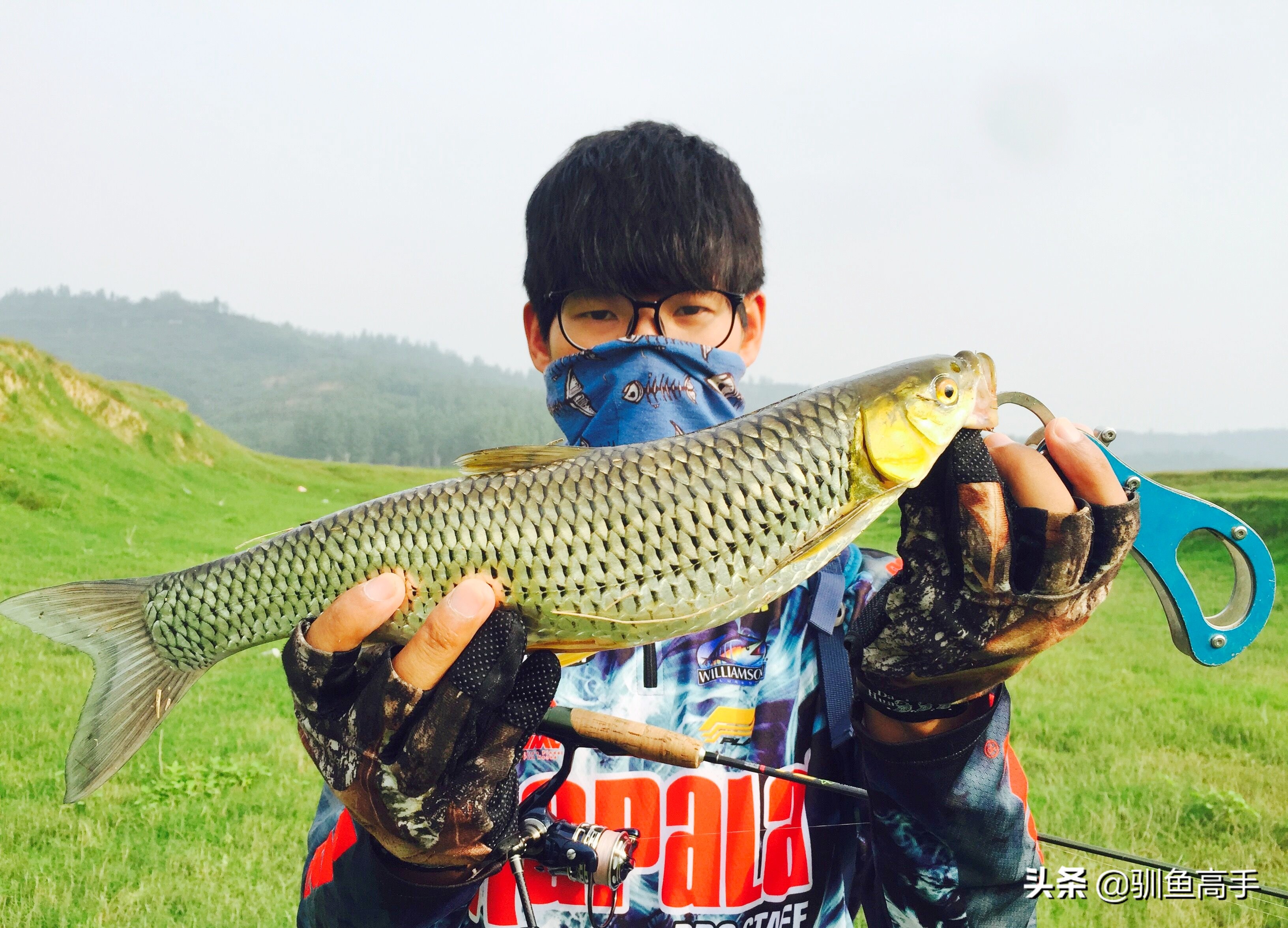 路亚赤眼鳟攻略,赤眼鳟路亚操作手法