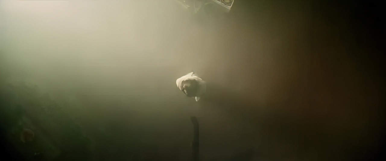 恶女与下女,她比朴信惠更出色