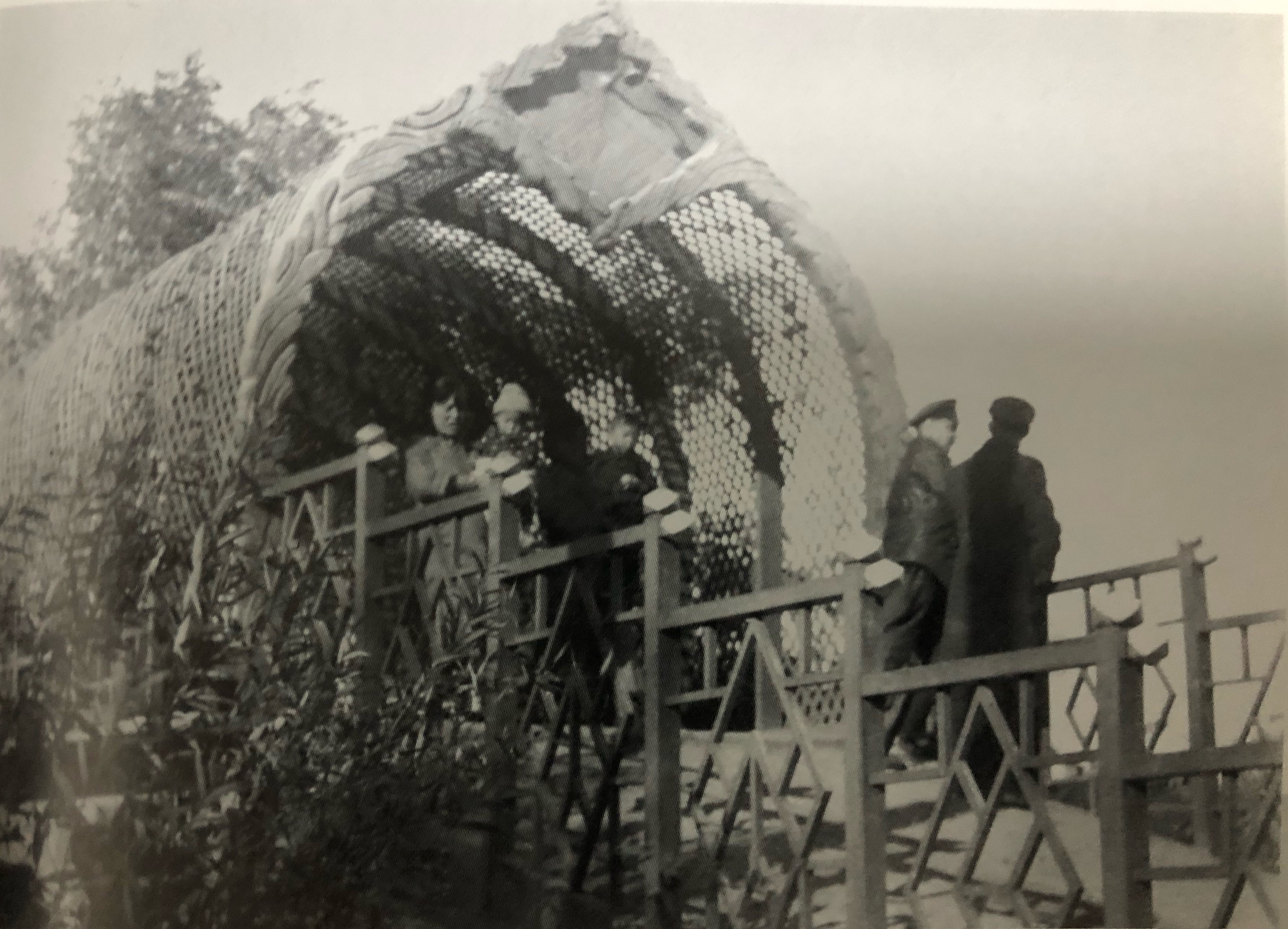 哈尔滨70年代动力区前进街老照片,哈尔滨老市政府大楼老照片