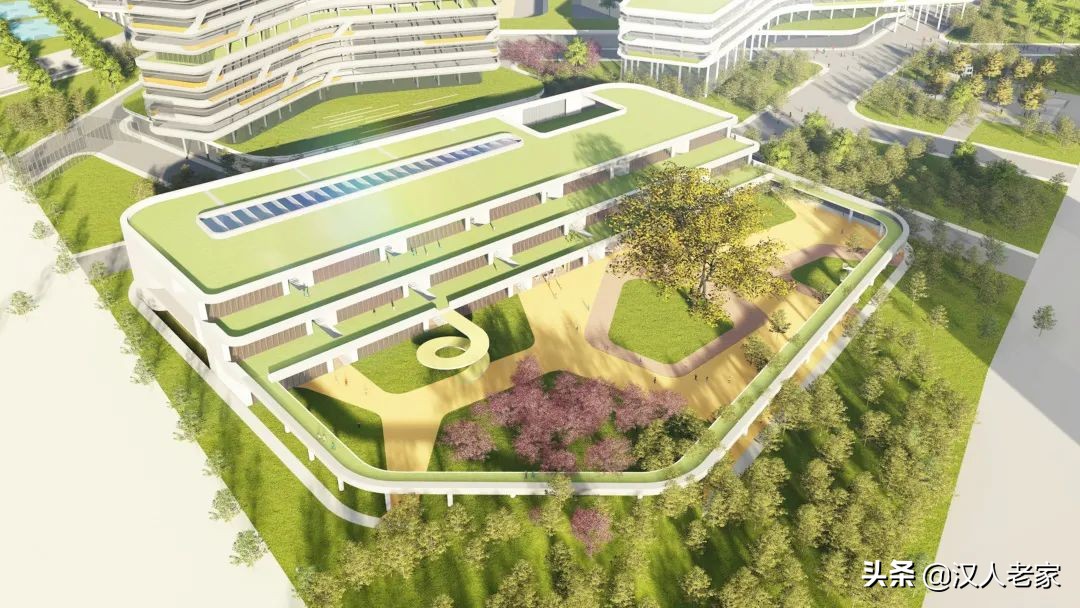 兴汉新区建多少所学校,24所学校名单