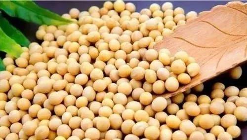 有机食品为何如此受欢迎,真正的有机食品在哪里